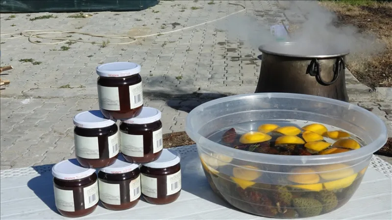 Ayvalık'ta kadın emeğiyle odun ateşinde 8 saat kaynatılan kozalak şuruba dönüşüyor