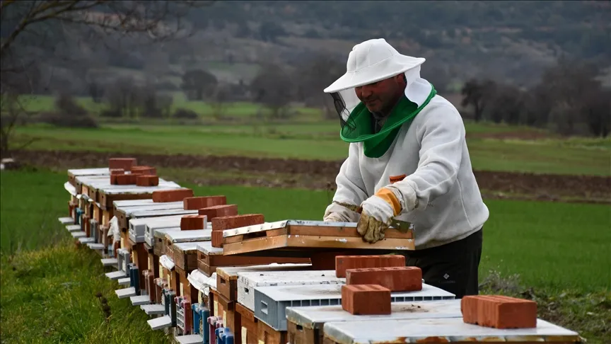 Adopted 50 hives with the project 