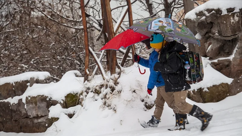 Hakkari ve Şanlıurfa'nın bazı ilçelerinde eğitime bir gün ara verildi