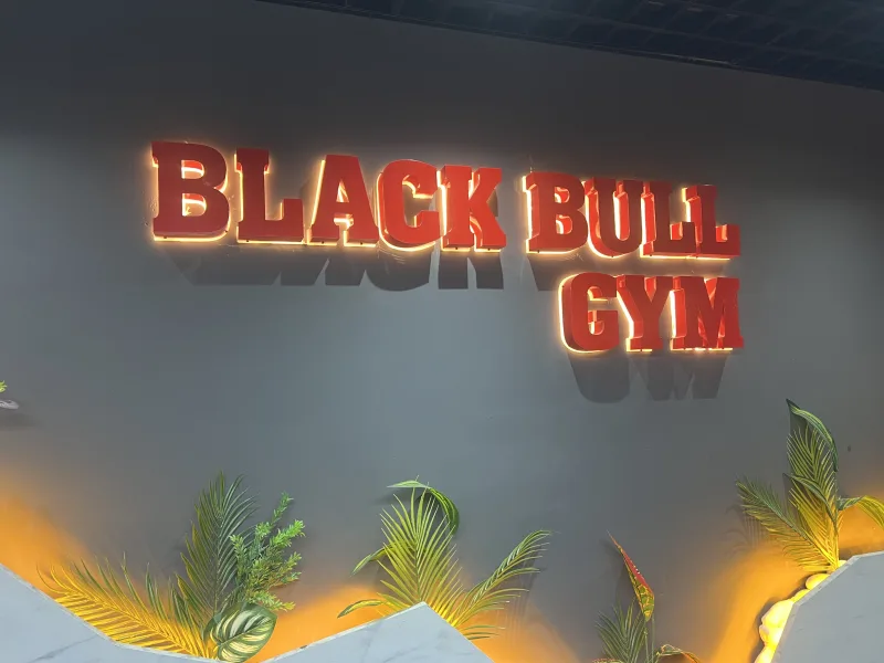 Black Bull Pro GYM — Спортзал в Аланье: Онлайн-заказ, цены и отзывы