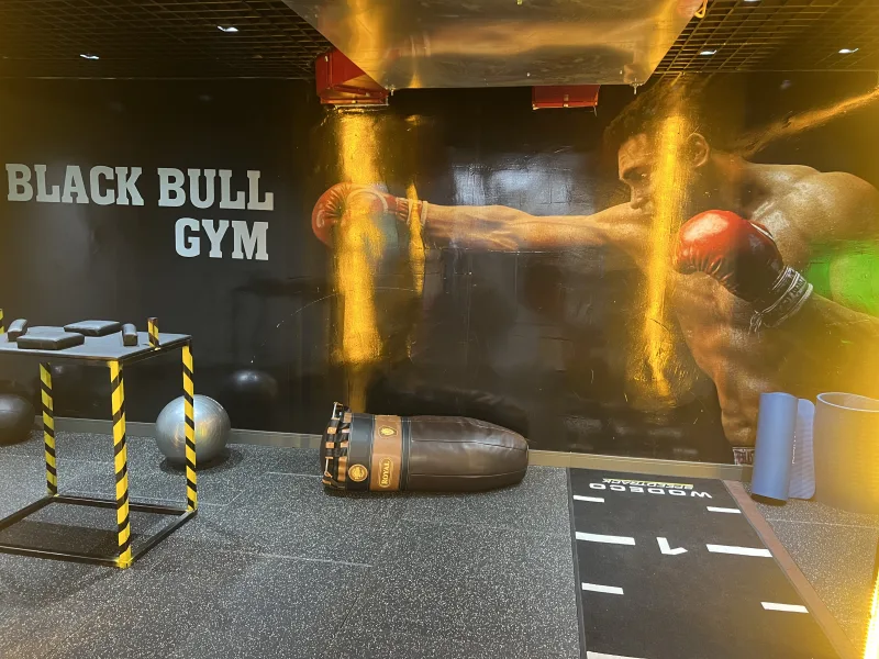 Black Bull Pro GYM — Спортзал в Аланье: Онлайн-заказ, цены и отзывы